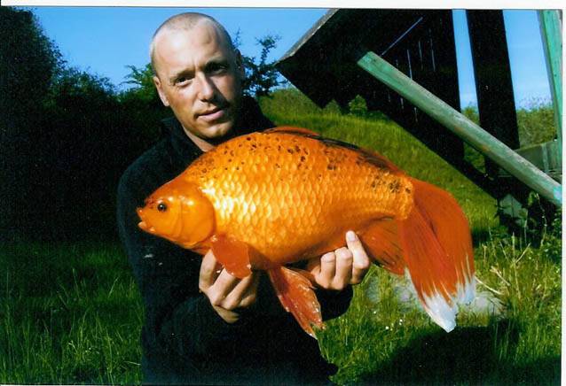 [img width=638 height=436]http://s03.tcuniverse.com/vkmedia_store/2012/03/LNCUOFqU3XIChbXx/sizes/clean/pic_003_clean_638.jpg[/img]