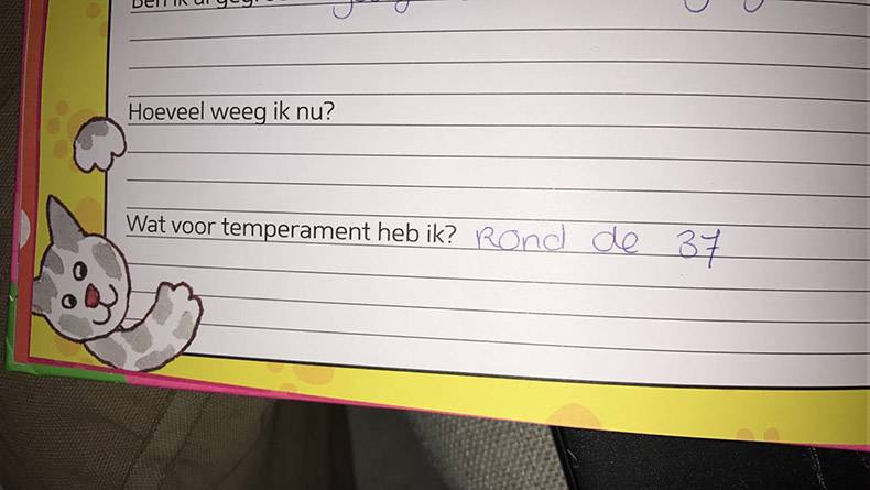 Gewoon een verzameling hilarische foto’s #891
