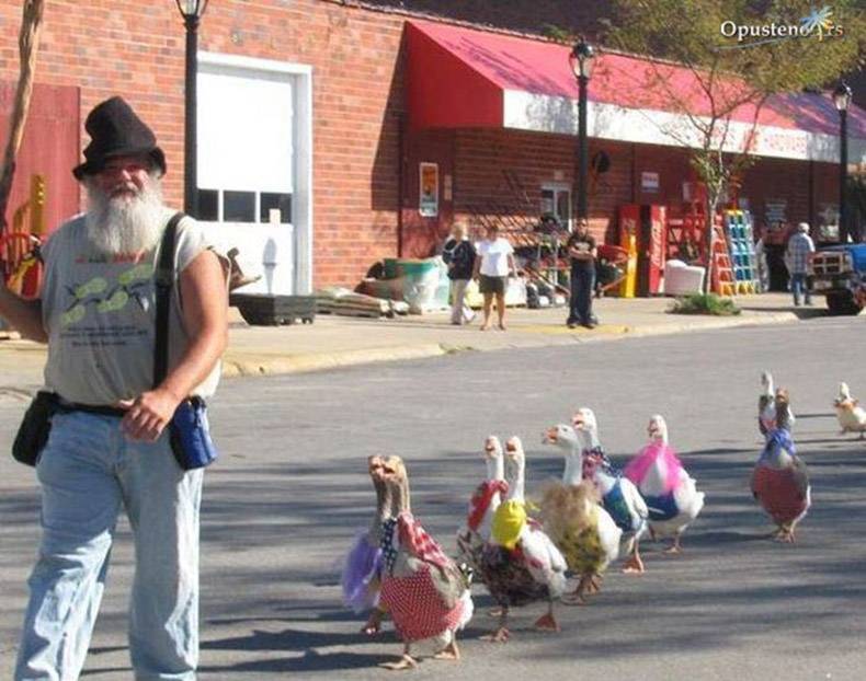 Gewoon een verzameling hilarische foto’s #891